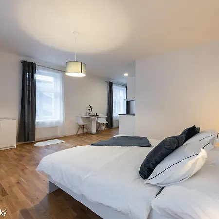 Apartament Petrska *