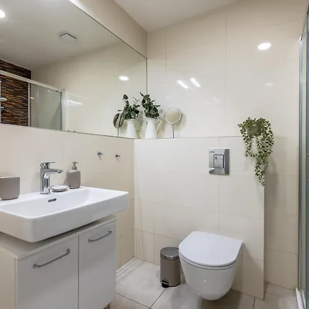 Petrska Apartament *